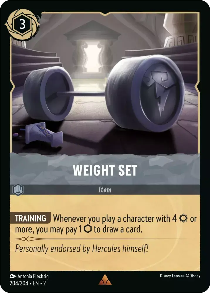204/204 Weight Set